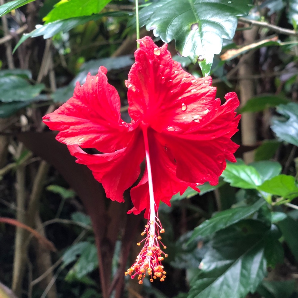 Meet your Posher, Mili